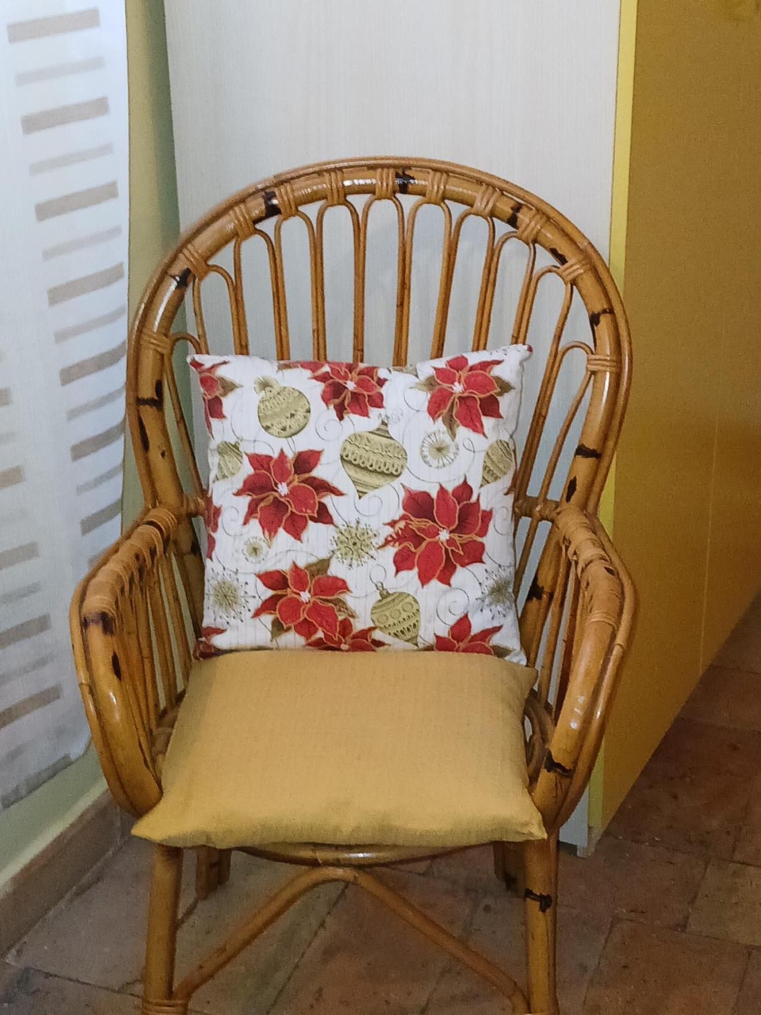 Apartment Grazioso